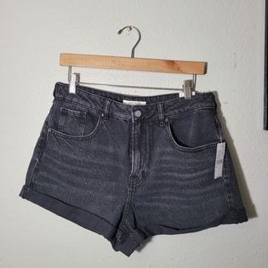PacSun Denim Shorts- Mom Shorts
